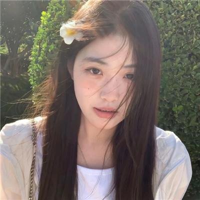吃土的十二个月